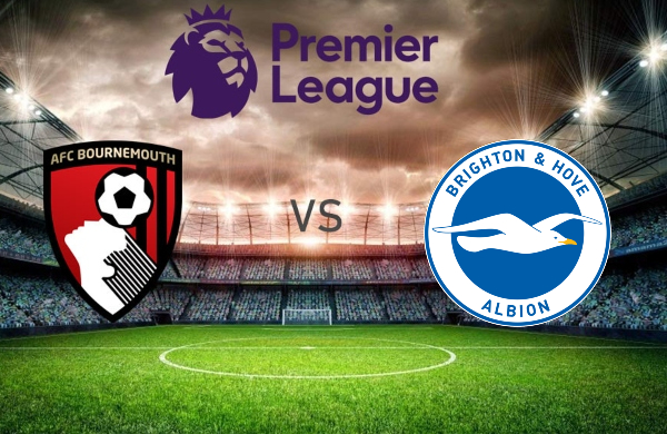 MATCH REPORT | AFC Bournemouth 1-3 Brighton & Hove Albion