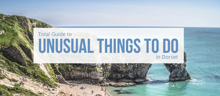 Unusual things to do in dorset banner