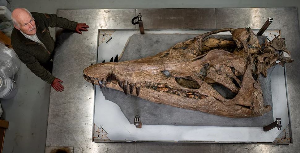 The skull of a colossal sea monster has been extracted from Dorsetâ€™s Jurassic Coast