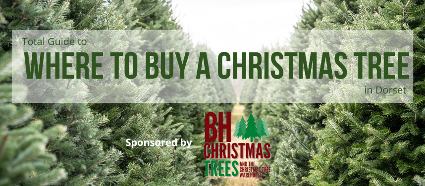 WHERE TO BUY CHRISTMAS TREES IN DORSET