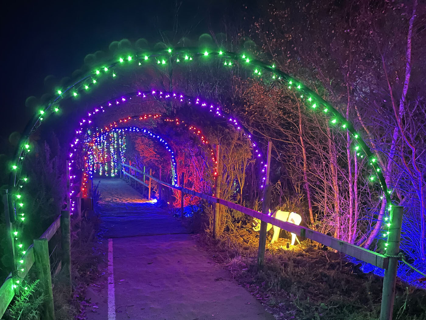 Nutley Farm Christmas Lights and Reindeer Experience