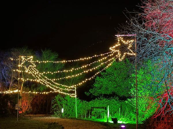 Christmas Lights Experience at Nutley Farm