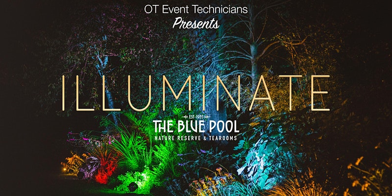 Illuminate at The Blue Pool, Wareham Dorset
