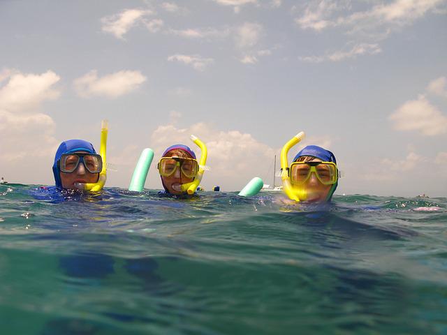 snorkelling poole