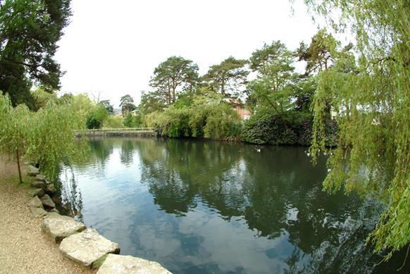 Coy Pond Gardens Poole