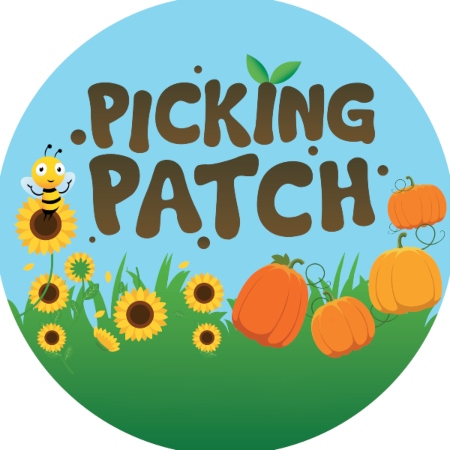 Pumpkin Picking Patch Fordingbridge