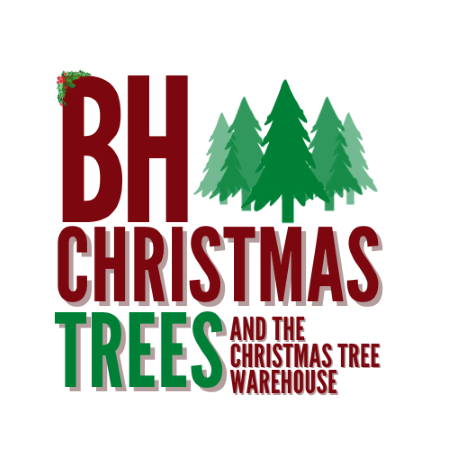 BH Christmas Trees Dorset