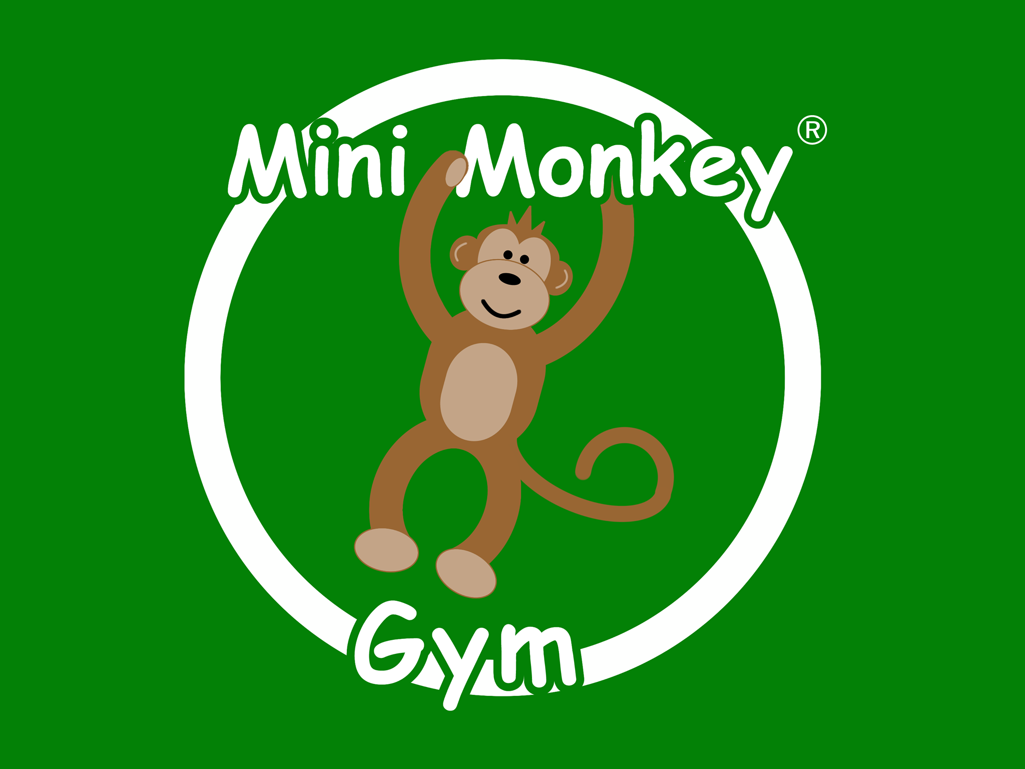 Mini Monkey Gym Poole