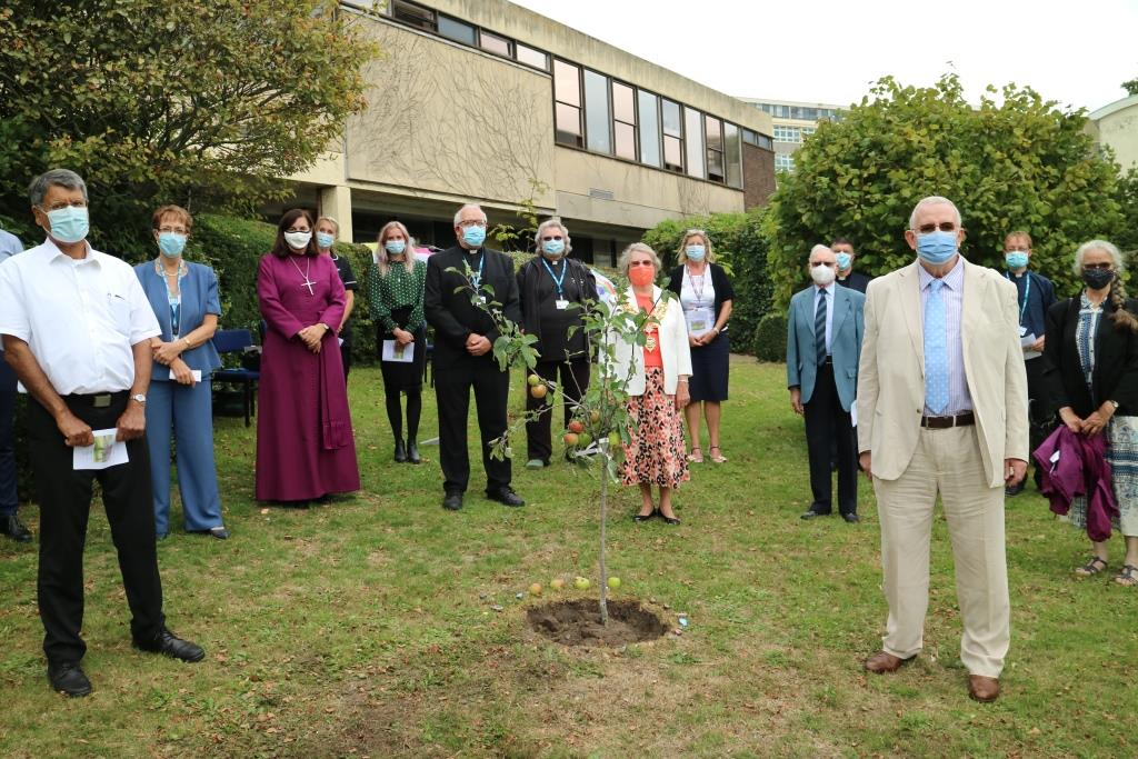 Tree Planted in memory of those affected by Covid-19