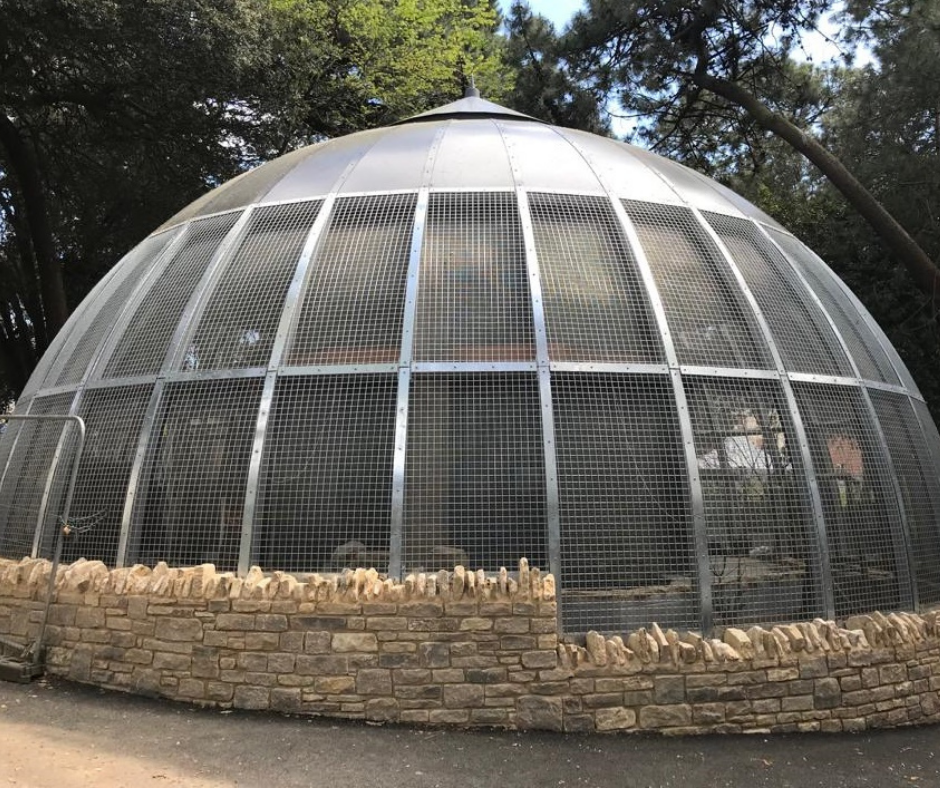 Squawks of excitement as Bournemouth’s brand-new aviary opens