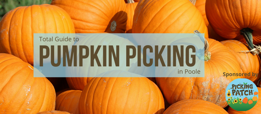The Best Pumpkin Picking Places in and around Poole