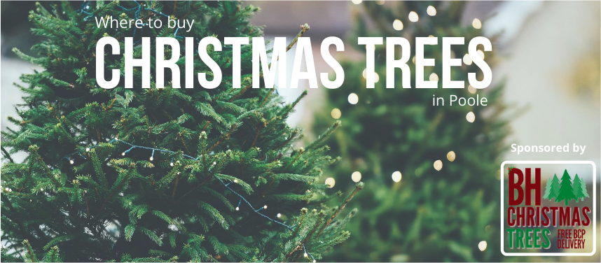 WHERE TO BUY CHRISTMAS TREES IN AND AROUND POOLE